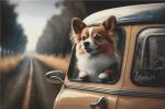 (image for) Going For a Ride - Pomeranian